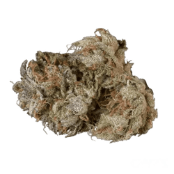 RUA AIO 30/1 8 Ball Kush